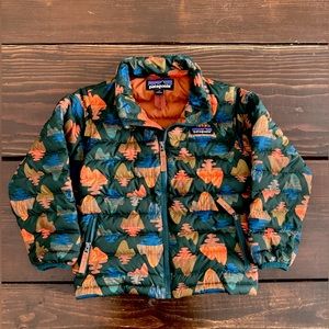 Patagonia Down Sweater Rare